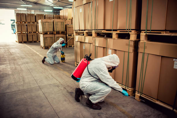 Best Flea Control Services  in Fairfield Glade, TN