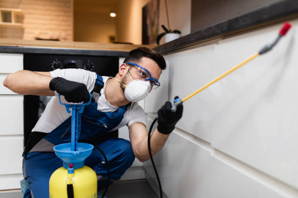 Best Pest Removal Services  in Fairfield Glade, TN