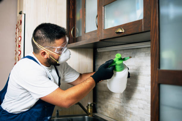 Best Best Pest Control Companies  in Fairfield Glade, TN