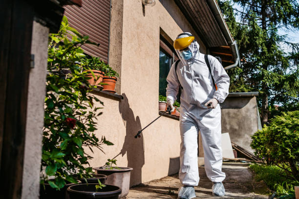 Best Affordable Pest Control Services  in Fairfield Glade, TN