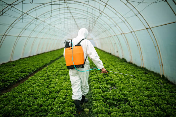 Best Mosquito Control Services  in Fairfield Glade, TN