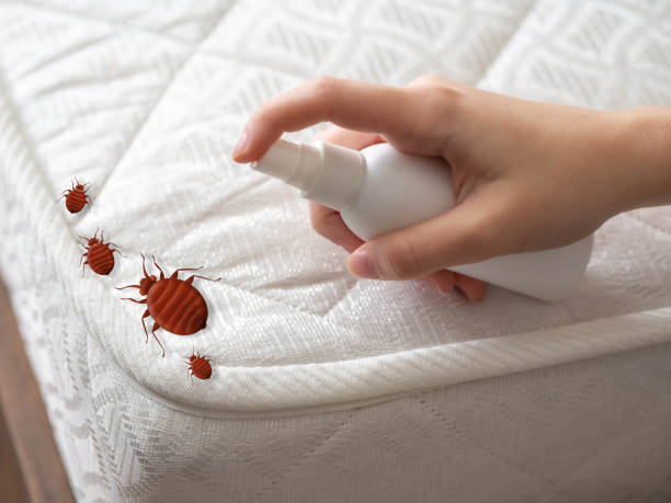 Best Bed Bug Extermination  in Fairfield Glade, TN