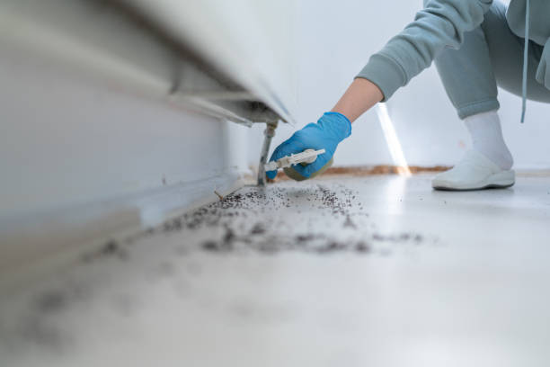 Best Flea Control Services  in Fairfield Glade, TN