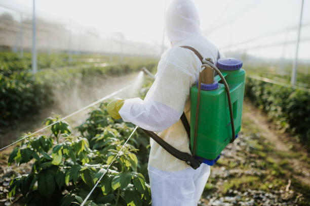 Best Best Pest Control Companies  in Fairfield Glade, TN